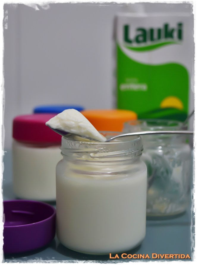 yogur casero lauki
