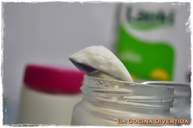 yogur casero lauki