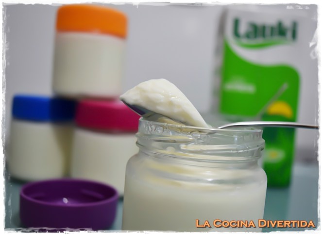 yogur casero