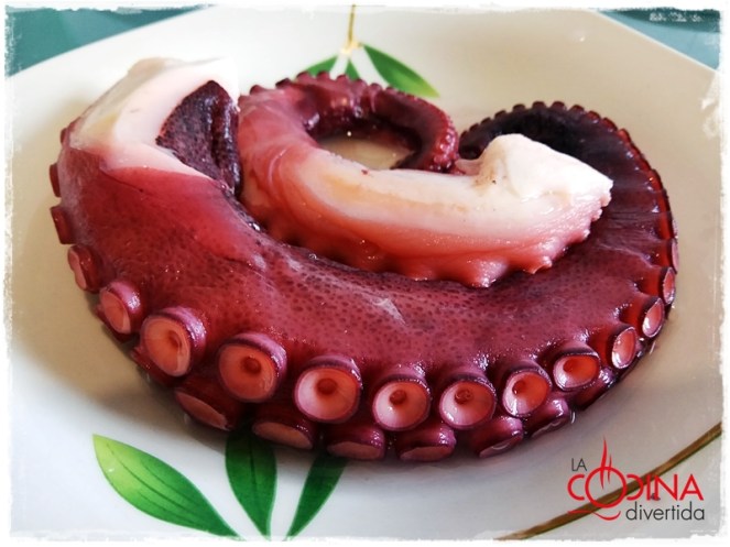 ensalada de pulpo salata od hobotnice