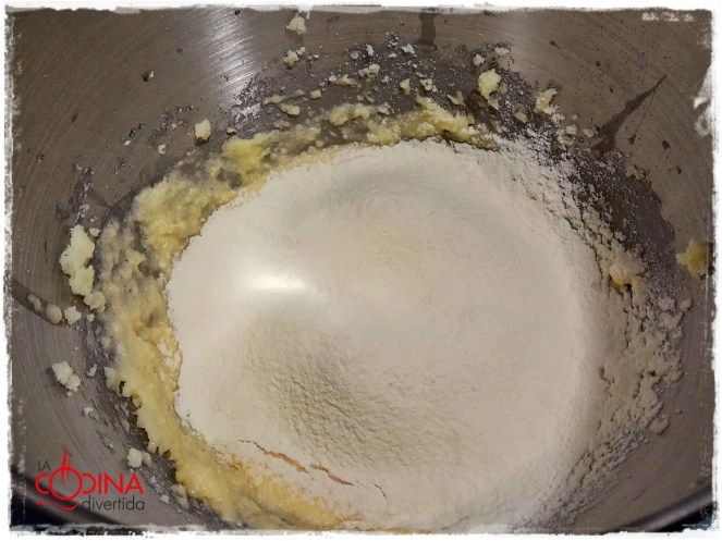 dedos bruja halloween