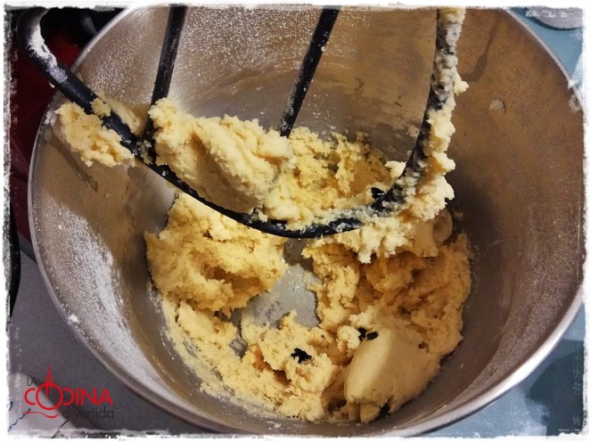 dedos bruja halloween